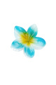 Bleu Image2