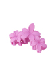 fuchsia Image9