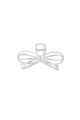 couleur argent