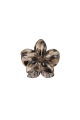 Brun Image4