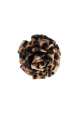 Brun Image2