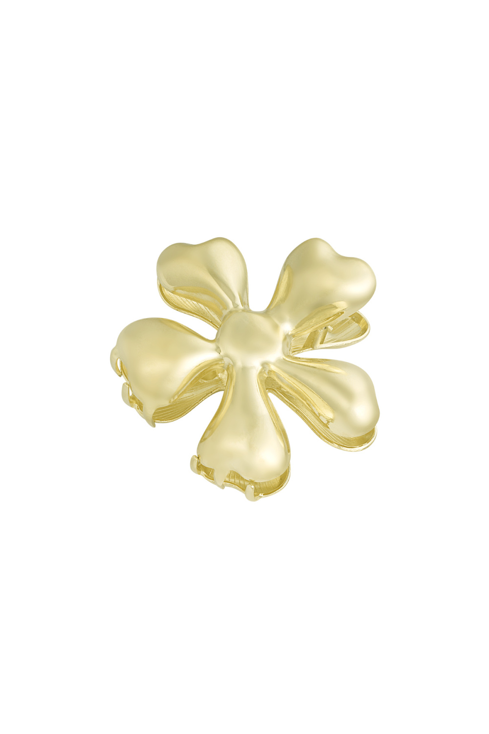 Pince À Cheveux Fleurs Sauvages - Doré 