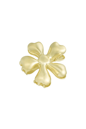 Pince À Cheveux Fleurs Sauvages - Doré h5 