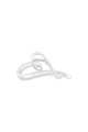 couleur argent Image2