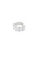 couleur argent Image2