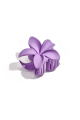 Violet Image4