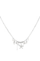 couleur argent Image2