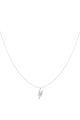 couleur argent Image2