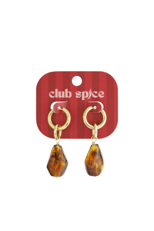 Boucles D'Oreilles Pendantes De Forme Irrégulière, Série Casual Daily Simple, Bijoux Pour Femmes h5 Image4