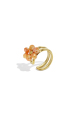 Orange Image2