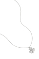 couleur argent Image2