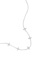 couleur argent Image2