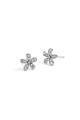 couleur argent Image2