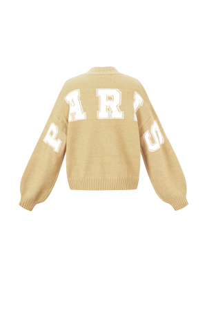 Pull Tricoté Fibre De Polyester Femme Casual Lettres h5 Image3