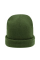 olive Image10