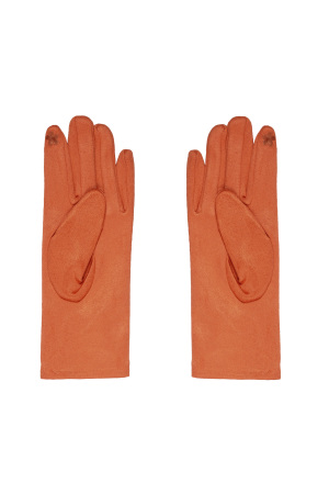 Gants Pierres h5 Image2