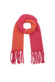 fuchsia Image4