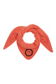 orange Image2