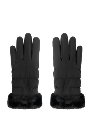 Gants En Fourrure h5 