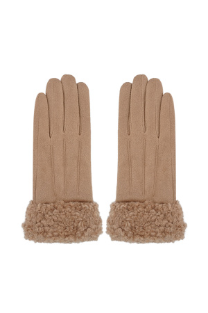 Gants En Fourrure h5