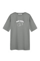 Gris/S Image2