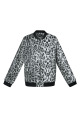 Gris/S Image4
