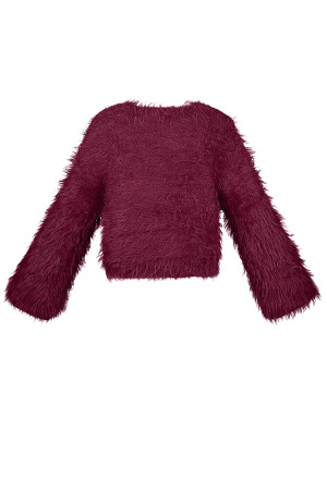 Pull En Fourrure Synthétique Femme Coupe Courte Texture Douce h5 Image3
