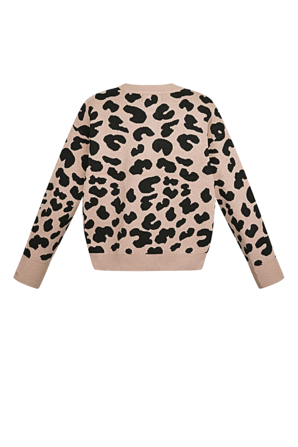Cardigan En Maille À Motif Léopard Avec Bordures Contrastantes Image10