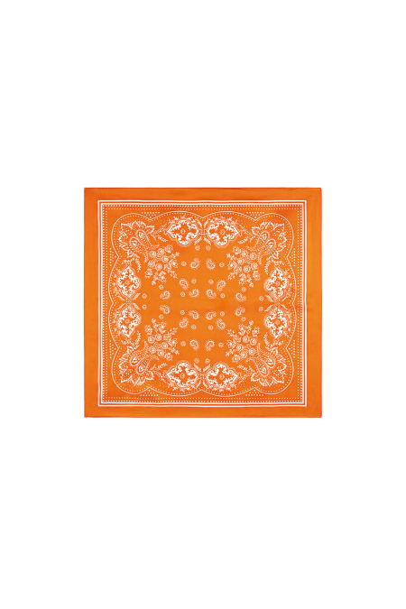 Écharpes d'été à motif cachemire, en polyester décontracté, accessoires du quotidien 2