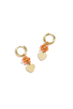 Orange Image2