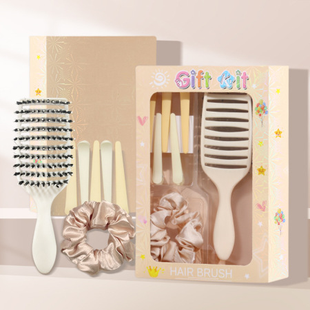 Ensemble de peignes et brosses à cheveux polyvalentes à coussin d'air pour femmes