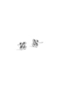 couleur argent Image2