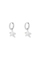 couleur argent Image2