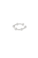 couleur argent Image2
