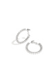 couleur argent Image2