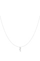 couleur argent Image2