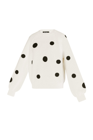 Pull À Pois h5 Image2