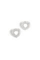 couleur argent Image2