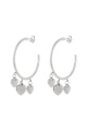 couleur argent Image2