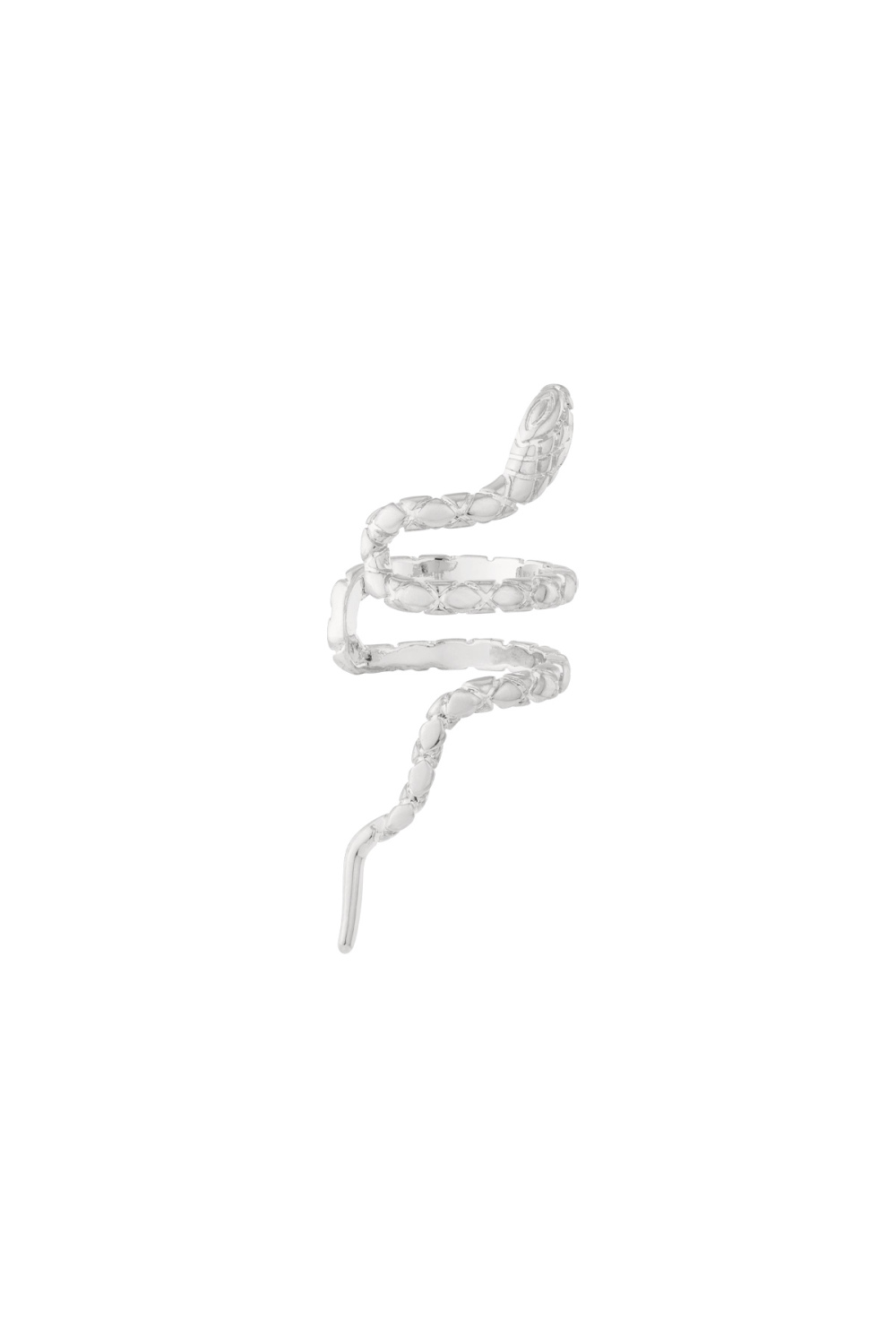 Boucles D'Oreilles En Cuivre Animal Daily h5Image3