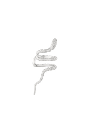 Boucles D'Oreilles En Cuivre Animal Daily h5 Image3