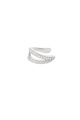 couleur argent Image2