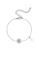 couleur argent Image2