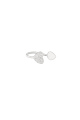 couleur argent Image2