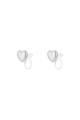 couleur argent Image2