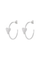 couleur argent Image2