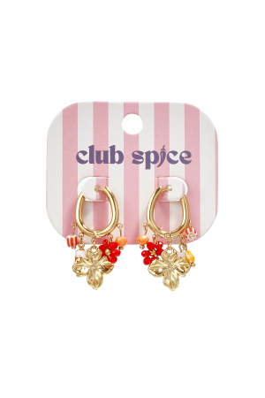 Boucles D'Oreilles Avec Différentes Perles Pendantes h5 Image3