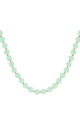 Vert Image5