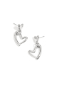 couleur argent Image2