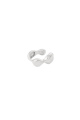 couleur argent Image2